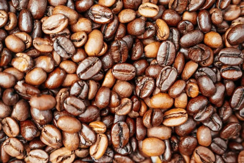 Ethiopian Yirgacheffe G1